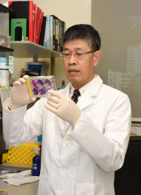 HKU identifies mutation in H7N9 virus which causes the virus to possess a higher ability to infect humans. Professor Chen Honglin, Professor of State Key Laboratory for Emerging Infectious Diseases and Department of Microbiology, Li Ka Shing Faculty of Medicine, HKU, points out that the finding can help monitor the emergence of mutations for cross-species transmission among avian influenza viruses and provide new target for anti-virus drug development.